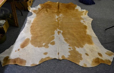 Lot 1152 - Nguni Cow Hide (Bos taurus), modern, excellent quality AA grade caramel brown and white pied...