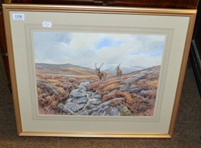 Lot 1256 - Brian Rawling (20th century) ";Strathconan"; signed and dated (20)00, watercolour  Provenance:...