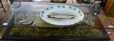 Lot 1056 - Mounted pike in glazed case, caught in Fort William, together with a commemorative plate