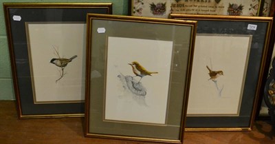 Lot 1214 - Derrick Kent Smith, 20th century contemporary, study of birds, a set of three