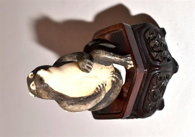 Lot 253 - A Meiji period carved ivory model of a badger on hardwood stand