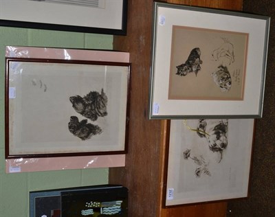 Lot 1232 - A group of four prints of dogs