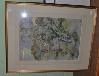 Lot 1234 - Charles Knight (19th/20th century) Woodland scene waterfall, signed, watercolour