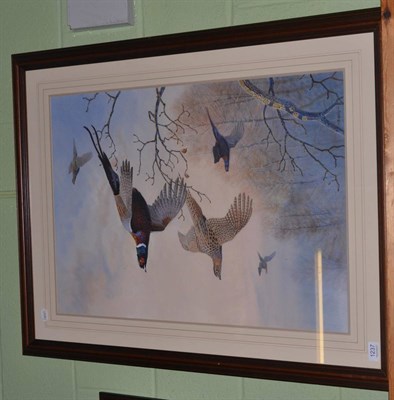 Lot 1237 - Peter Allis, Pheasants flying in a wooded landscape watercolour, 74cm by 53.5cm