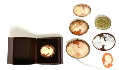 Lot 99 - A collection of cameo brooches and loose cameos