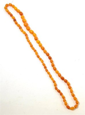 Lot 430 - An amber necklace of graduated barrel beads