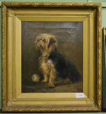 Lot 1146 - J Allan Dawson, Study of a Yorkshire Terrier, oil on canvas