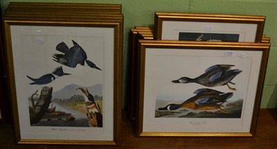 Lot 1152 - Thirteen modern decorative gilt framed prints of ornithological subjects