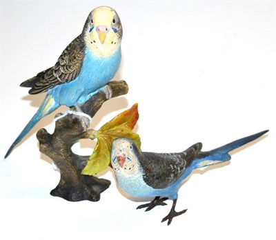 Lot 326 - A cold painted bronze model of a blue budgie and a similar model perched on a branch (2)...