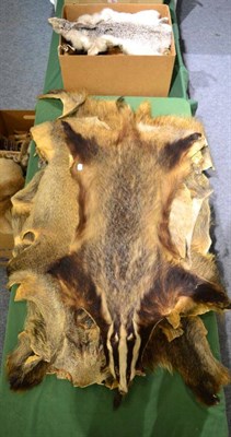 Lot 1001 - A large quantity of mixed animal pelts, including Wild Boar, Fox, Fawns, Rabbit and Deer