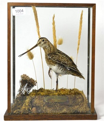 Lot 1004 - Snipe full mount in a five glass case mounted on a moss covered base with grasses and a brass...