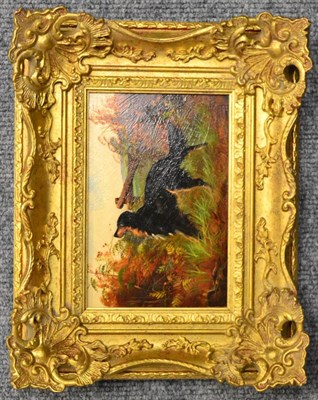 Lot 1101 - Garland, oil on board of a Setter