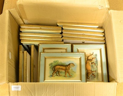 Lot 1187 - Group of thirty two feline frame pictures