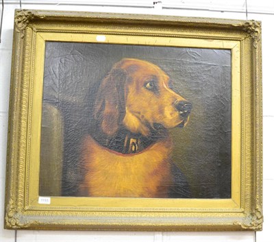 Lot 1193 - 19th century school, study of a dog, oil on canvas, unsigned, in gilt frame