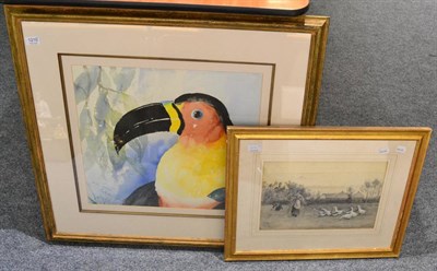 Lot 1210 - A large Irish watercolour of a toucan and a Victorian en grisaille of geese (2)