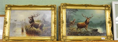 Lot 1224 - A pair of W J Crampton, oils on boards, of stags