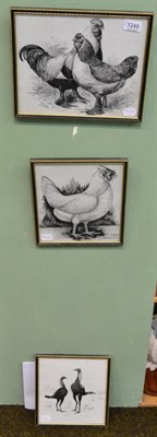 Lot 1249 - J R G Exley three original pen and ink sketches of poultry