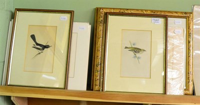 Lot 1267 - Rev F O Morris, circa 1852, a group of hand coloured book plates of birds