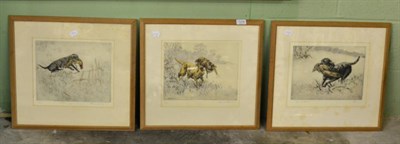 Lot 1276 - H Wilkinson, two framed etchings of gundogs, signed; another similar by Vernon Stokes (3)