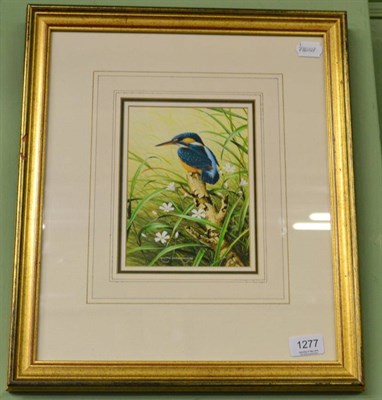 Lot 1277 - Ralph Waterhouse, gouache study of a Kingfisher surrounded by flowers and reeds, 19x14 cm,...