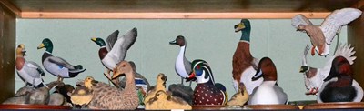 Lot 222 - Border Fine Arts Duck and Bird Models Including: Water Fowl of the World 'Mallard', 'Pintail'...