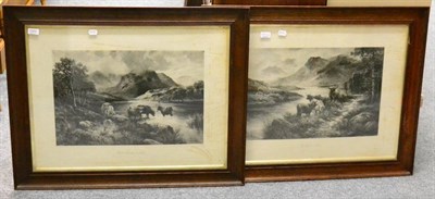 Lot 1053 - A pair of black and white cattle prints