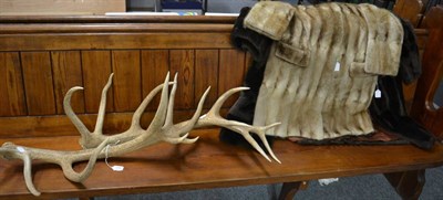 Lot 1091 - Pair of shed Red deer antlers and two fur coats (4)