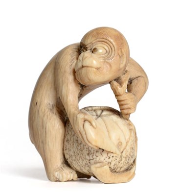 Lot 171 - A Japanese Ivory Netsuke, 19th century, as a monkey peeling a persimmon fruit, signed Rantei,...