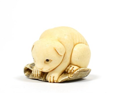 Lot 172 - A Japanese Ivory Netsuke, Meiji period, carved as a puppy on a mat, signed Shou, 3.5cm wide