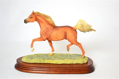 Lot 8 - Border Fine Arts 'Arab Stallion', Trotting, Style Two, model No. L135 by Anne Wall, limited edition