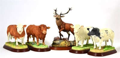 Lot 14 - Border Fine Arts Cattle Breeds, County Show Studio Models Comprising: 'Charolais Bull', model...