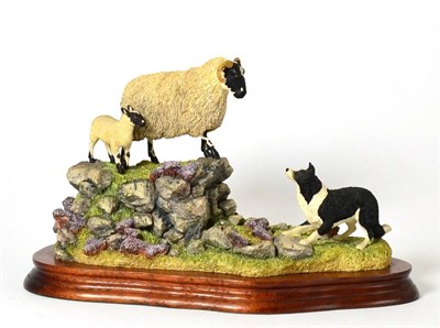Lot 25 - Border Fine Arts 'Holding Her Ground' (Ewe, Lamb and Border Collie), model No. B0198 by Ray...