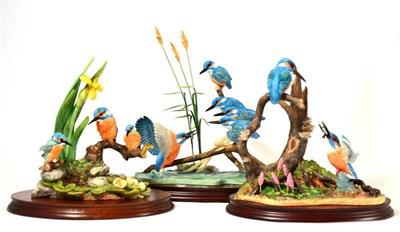 Lot 30 - Border Fine Arts Kingfisher models comprising: 'Kingfishers', limited edition 167/1250, on wood...