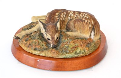 Lot 43 - Border Fine Arts 'Roe Deer Fawn' (Lying), Style One, model No. L09 by Victor Hayton, limited...