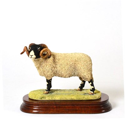 Lot 47 - Border Fine Arts 'Swaledale Tup' (The Monarch of the Dales), model No. L148 by Ray Ayres,...