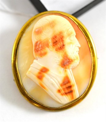 Lot 431 - A shell cameo brooch, depicting a male portrait