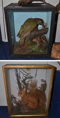 Lot 1008 - Victorian cased Green Woodpecker, full mount in a naturalistic setting, enclosed within an ebonised