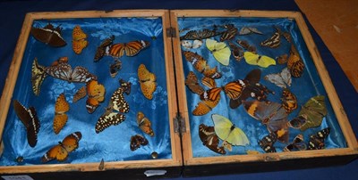 Lot 1041 - A hinged box containing butterflies