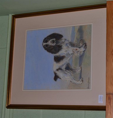 Lot 1191 - Marion Harvey, Portrait of a Springer Spaniel, pastel, signed