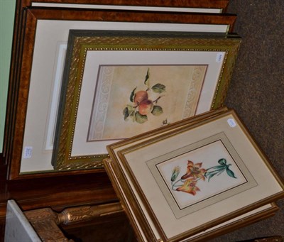 Lot 1232 - Twelve various botanical prints, some hand coloured, all framed together with two still life...