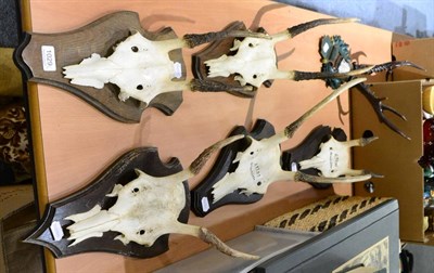 Lot 1029 - Six mounted pairs of antlers