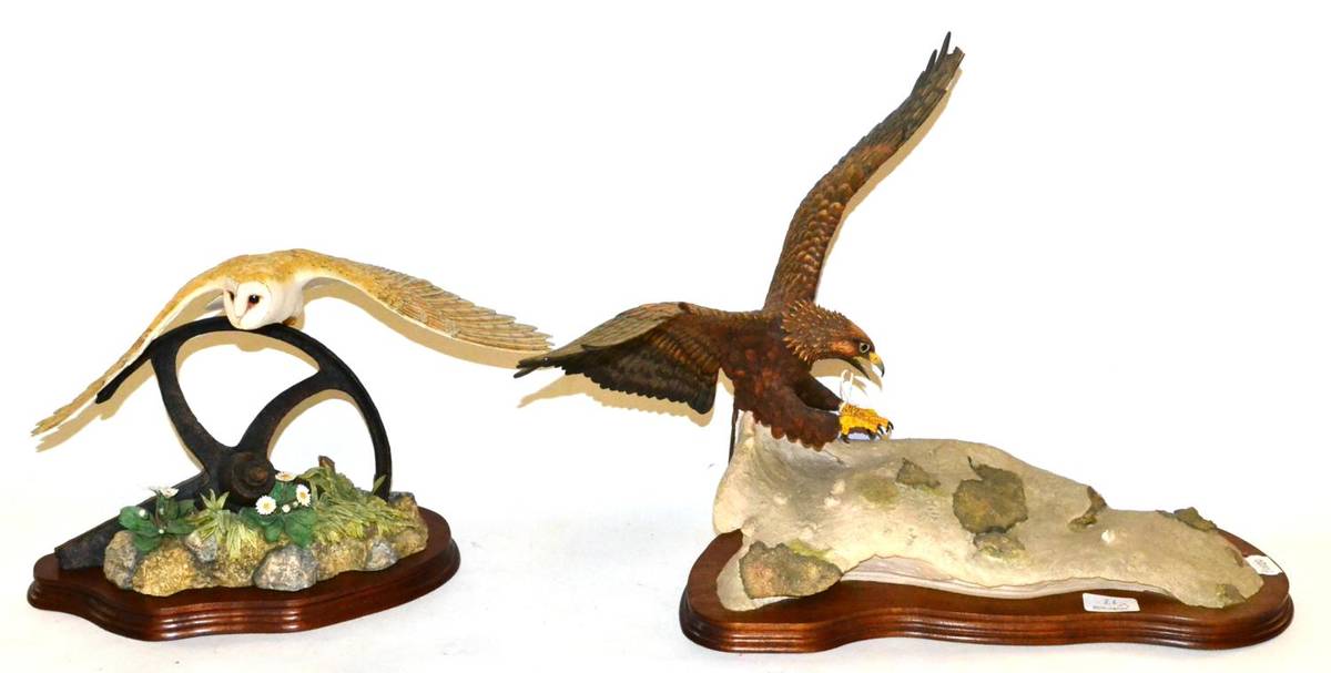 Lot 24 - Border Fine Arts 'Evening Flight' (Barn Owl in Flight), model No. L107 by Ray Ayres, limited...