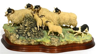 Lot 50 - Border Fine Arts 'Gathering In The Strays' (Sheep and Collie), model No. JH28 by Ray Ayres, limited
