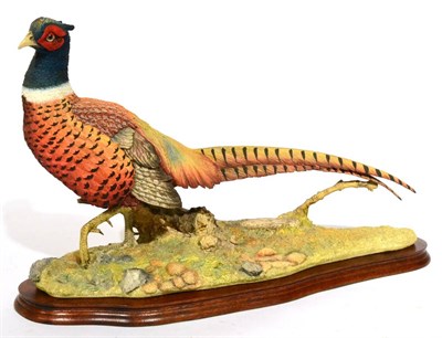 Lot 56 - Border Fine Arts 'Autumn Glory' (Pheasant), Millennium model No. B0488 by Russell Willis,...