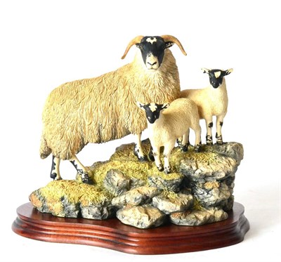 Lot 80 - Border Fine Arts 'A Ewe And A Pair' (Black-faced), model No. B0238 by Ray Ayres, limited...