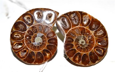 Lot 224 - A pair of ammonite fossil brooches