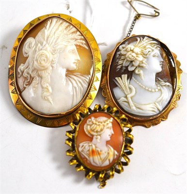 Lot 229 - Three cameo brooches