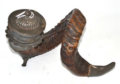 Lot 290 - A 19th century Scottish snuff mull, the coiled rams horn with pewter mounts