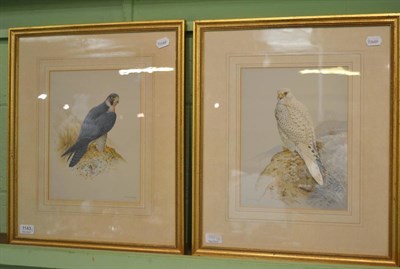 Lot 1143 - Two framed watercolours, ornithological studies signed R David Digby