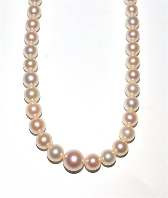 Lot 24 - A cultured pearl single row necklace with 9ct gold snap